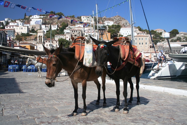 Hydra Island - Donkeys are the main mode of transport 